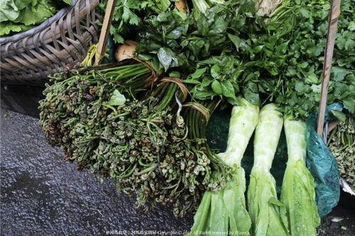 田阿姨吃瓜,瓜香四溢的悠闲时光