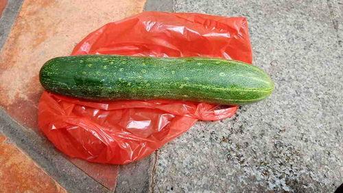 吃生的瓜配音,探索瓜类生食的独特风味