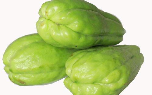 四川传媒朱姝君瓜 吃瓜,四川传媒的“吃瓜”现象解析