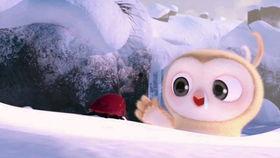 吃瓜比赛教学视频全集,瓜界高手速成指南