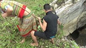 梦到在瓜地里摘瓜吃,瓜地摘瓜，尽享丰收喜悦