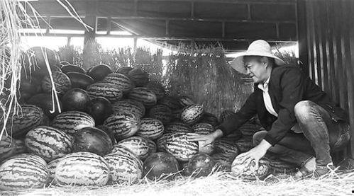 长风渡吃瓜群众,吃瓜群众眼中的风云变幻