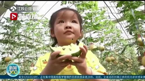 意念吃瓜苏七七,揭秘网络热点的幕后故事