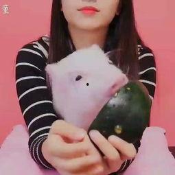 给猪吃瓜直播间,猪儿欢乐食瓜，趣味横生互动盛宴