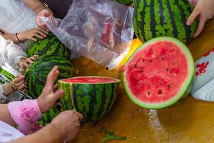 电子科技吃瓜,揭秘那些你不知道的“吃瓜”故事