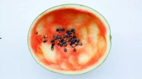 吃瓜大勺子图片搞笑,一场欢乐的“瓜界”盛宴