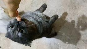 吃瓜躺着照片,揭秘网红新姿势