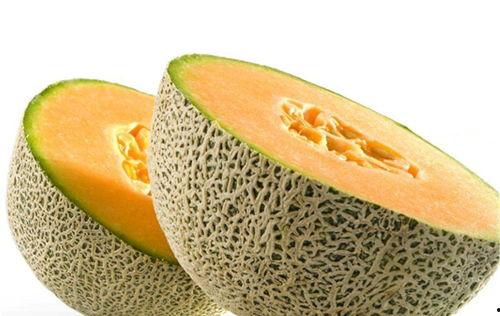 吃海货能吃哈密瓜,探寻吃海货的哈密瓜之谜
