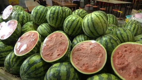 网上的瓜吃的,跟随“吃瓜群众”探寻娱乐圈幕后真相